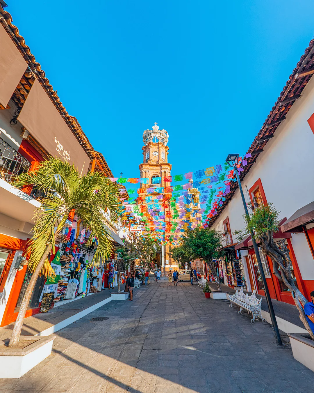 Puerto Vallarta 13 al 16 de Noviembre | 002094